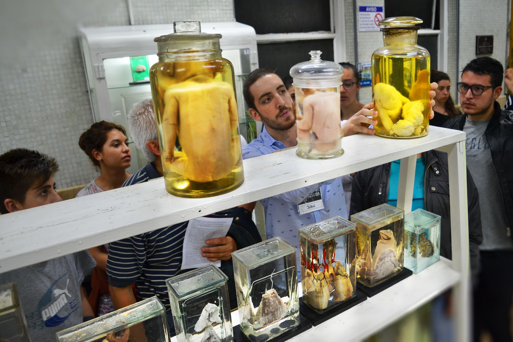 Noche De Los Museos Facultad De Medicina Uba 4248